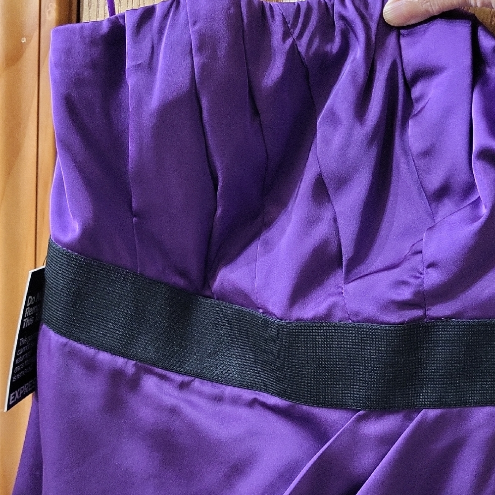 Express Purple Mini Dress